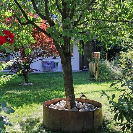 Nigler Innsbruck Apartment Bagian luar foto